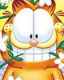 Garfield - wallpaper preview