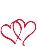 - - wallpaper preview