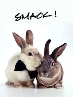 Smack! - wallpaper preview