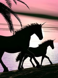 Unicorn - wallpaper preview