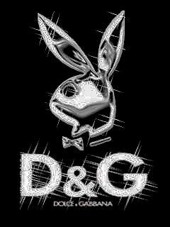 D&G - wallpaper preview
