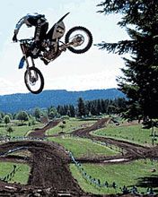 - - wallpaper preview