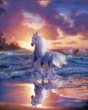 Unicorn - wallpaper preview