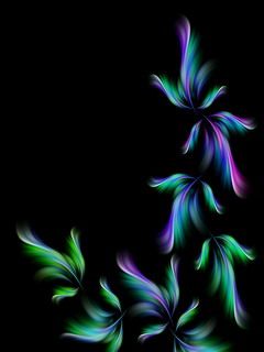 - - wallpaper preview