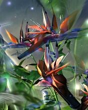 - - wallpaper preview