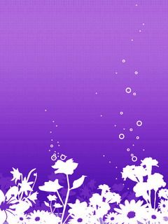 - - wallpaper preview