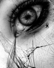 - - wallpaper preview