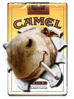 Camel - wallpaper preview