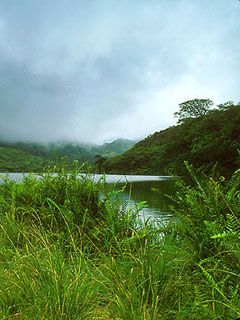 Dominica - Real Estate Upper Lake