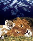 Lions - wallpaper preview