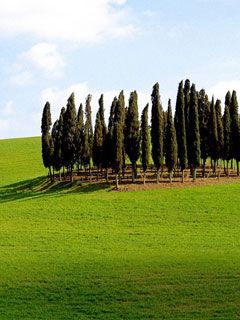 Siena Province Tuscany Italy