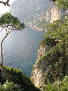 Capri - wallpaper preview