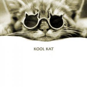 Cat and Cool Glasses