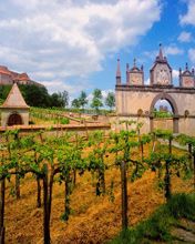 Austrian Vineyard - wallpaper preview