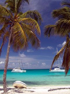 Tobago - wallpaper preview