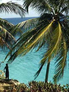  Jamaica - wallpaper preview