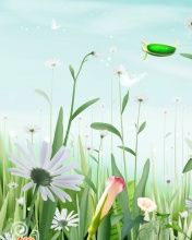 - - wallpaper preview