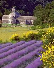 Learn french in Provence