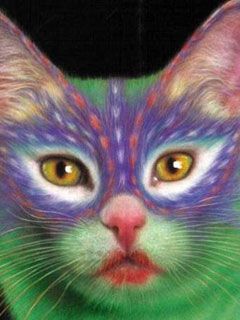 Painted Cat