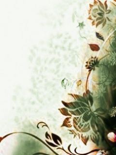 - - wallpaper preview