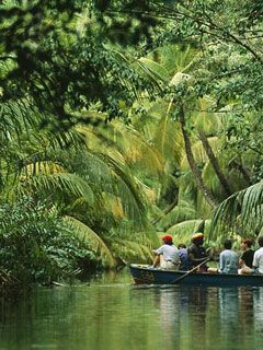Dominica - wallpaper preview