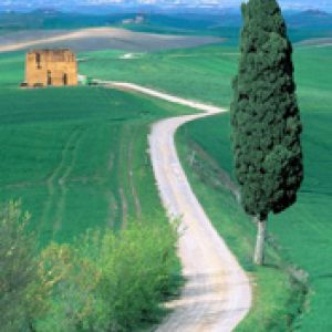 Country Road - Tuscany - Italy
