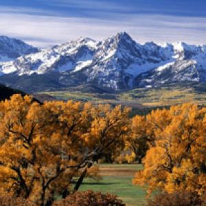 Autumn Colors Sneffels Range Colorado