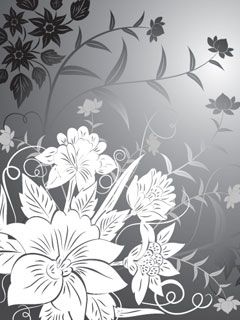 - - wallpaper preview