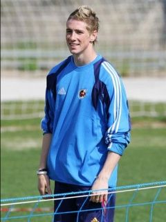 Fernando Torres - wallpaper preview