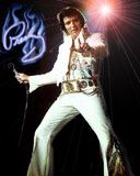 Elvis Presley - wallpaper preview