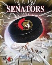 senators - wallpaper preview