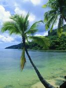 plage - wallpaper preview