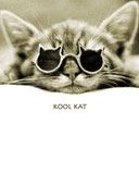 cat and cool glasses