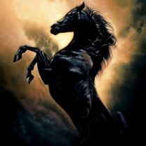 - - wallpaper preview