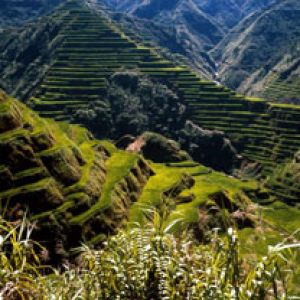 Ancient Rice Terraces - Philippines