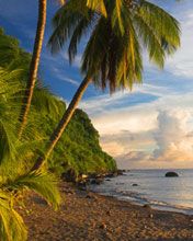 Dominica beaches