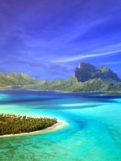 - - wallpaper preview