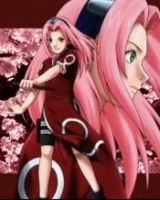 sakura - wallpaper preview