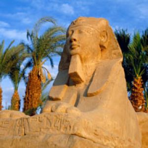 Avenue of Sphinxes - Luxor - Egypt