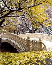 Early Snowfall - Central Park - New York