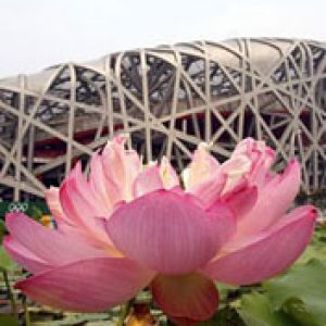 Beijing 2008 Olympic Station