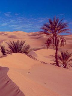 Libia - wallpaper preview