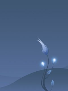 - - wallpaper preview