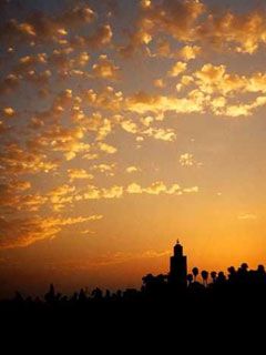 Marrakech - wallpaper preview