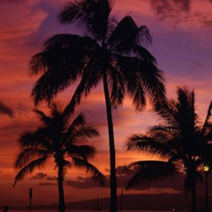 Sunset Honolulu
