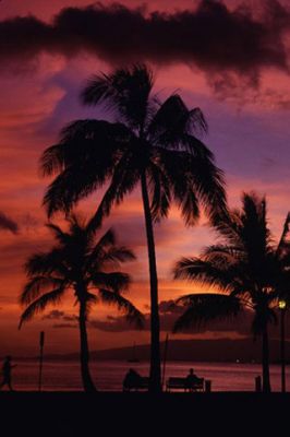 Sunset Honolulu