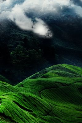 - - wallpaper preview