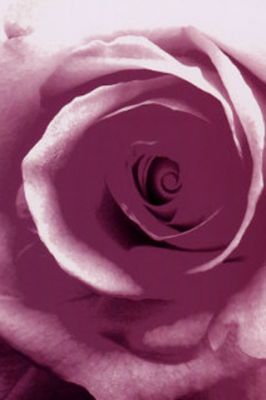 - - wallpaper preview