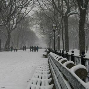 Central Park - New York