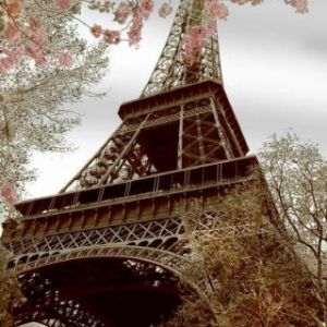 The Eiffel Tower - Paris